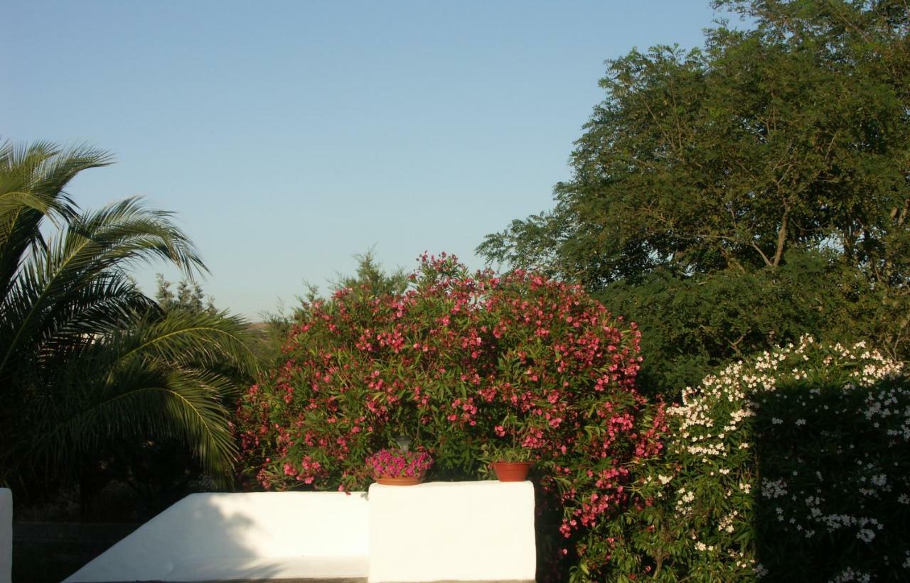 Locanda Del Pescatore Apartment Palmadula Exterior photo